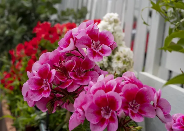 Porto (adults Only) 3* Nausa